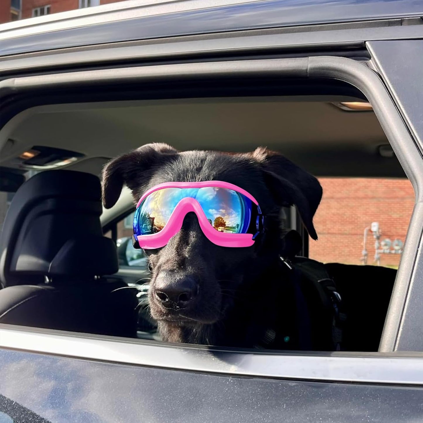 Dog goggles anti UV skiing sunglasses