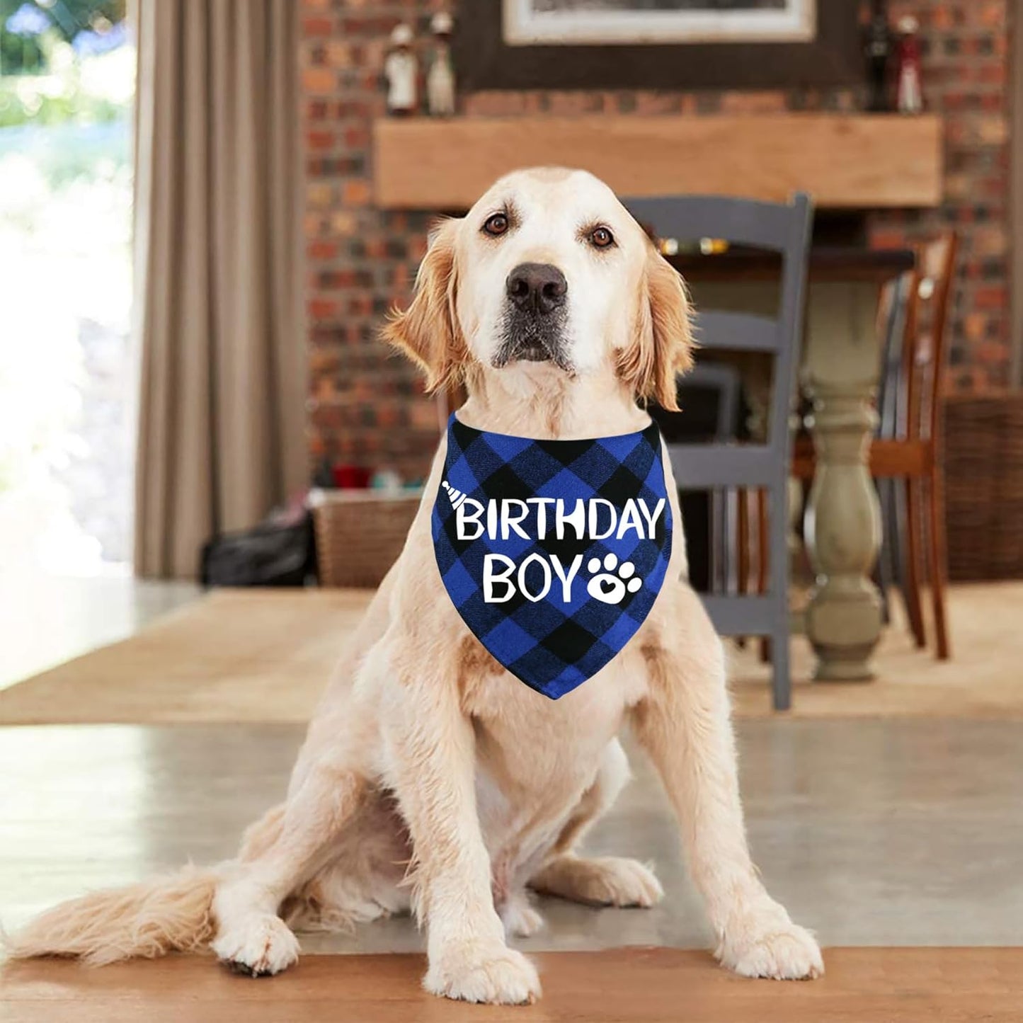 Dog Birthday Bandana Cotton Birthday Boy Scarf