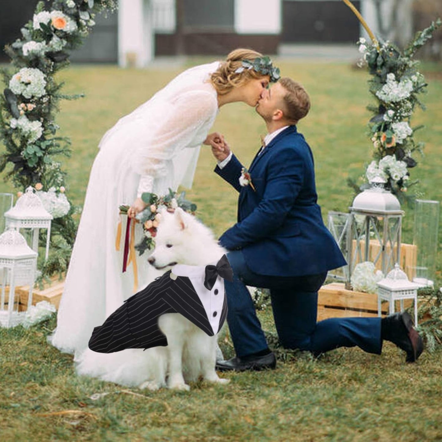 Dog Tuxedo Suit with Bow Tie – Wedding & Formal Outfit