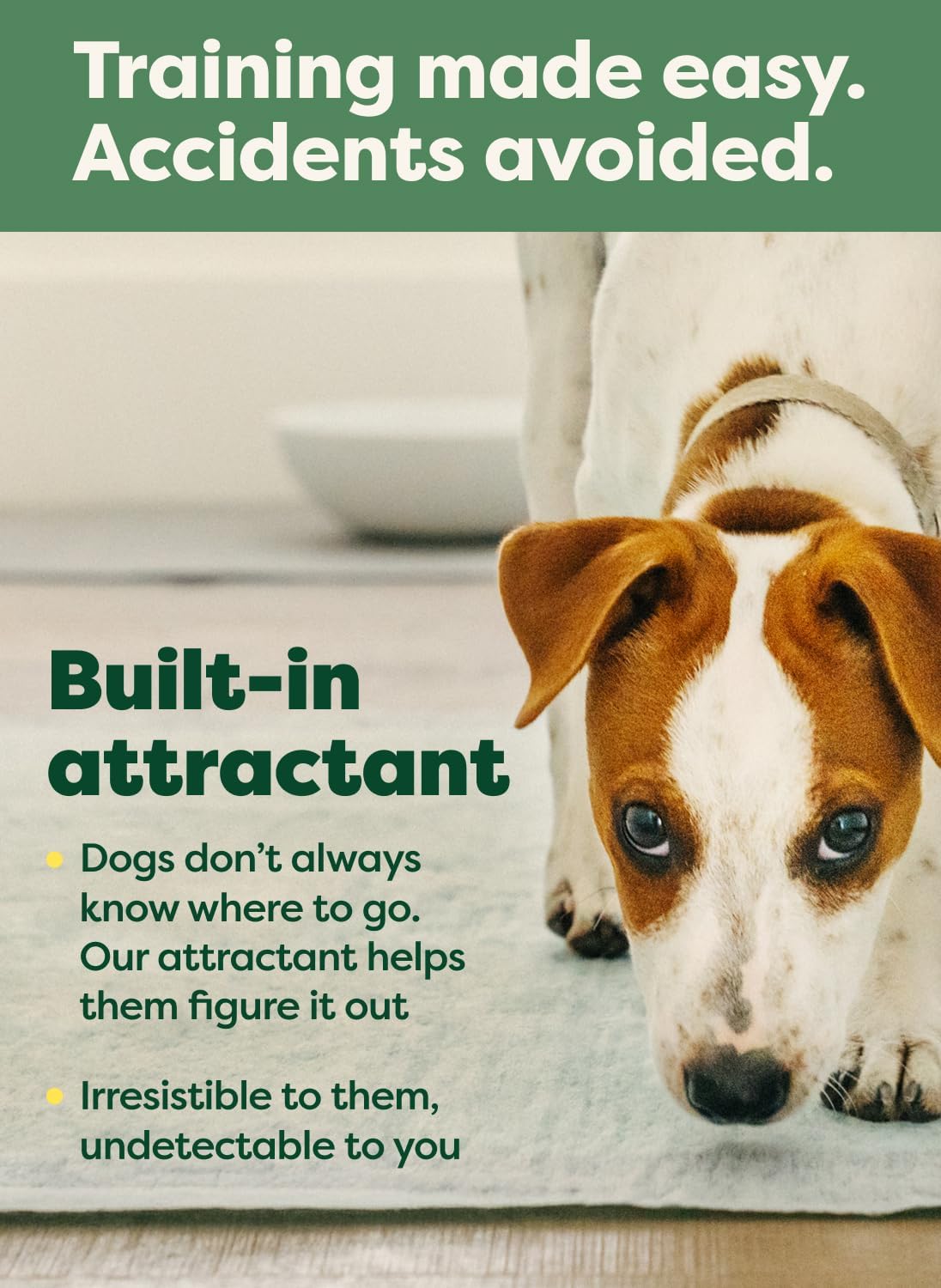 Earth Rated Max Absorbency Puppy Pee Pads for Dogs Absorbs 2X Faster & 2X More, Leak-Proof, Odor Control Potty Training, Unscented, Large, 22” x 23”, 40 Count