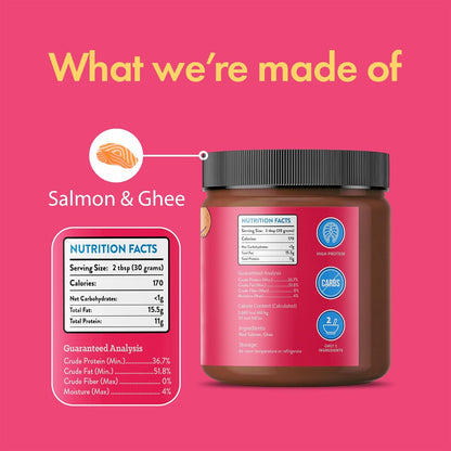 Salmon and Ghee Meat Spread | NEW 12oz Jar - Dog Treat - Visionary Pet Foods