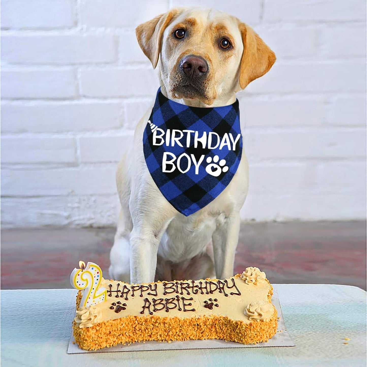 Dog Birthday Bandana Cotton Birthday Boy Scarf