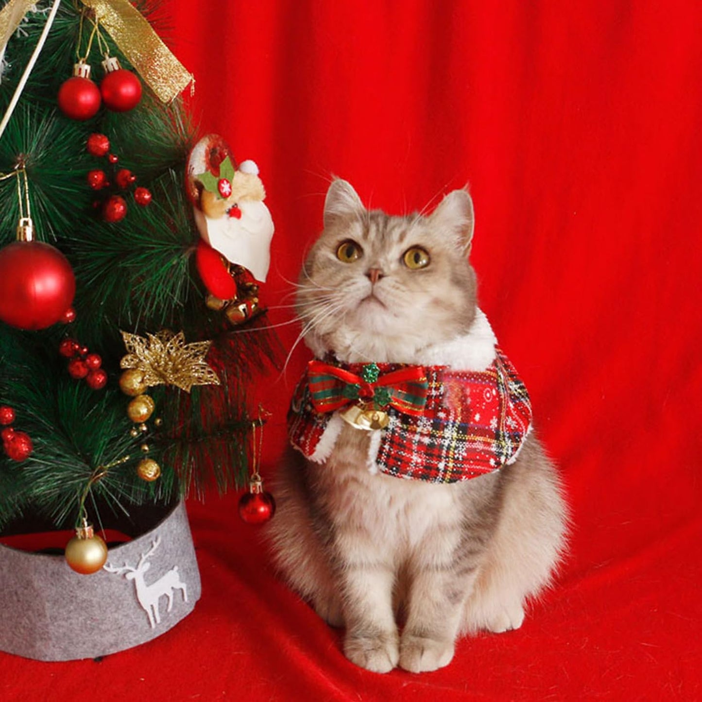 Dog & Cat Christmas Collar Cape • Sherpa Lined & Bells