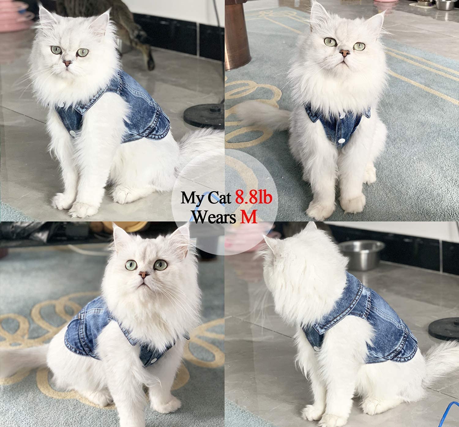 Pet Dog Cat Blue Denim Jeans Jacket Coat Vest - Purrfect Pet Kingdom