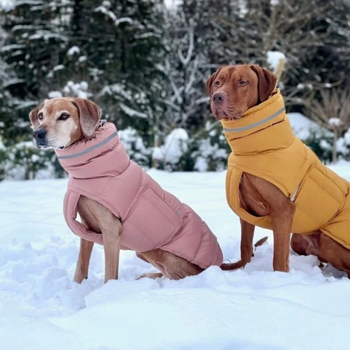 Dog clothing thickened warm waterproof windproof two leg coat pet vest cotton coat - Purrfect Pet Kingdom