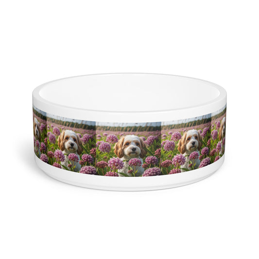 Cavachon Pet Bowl