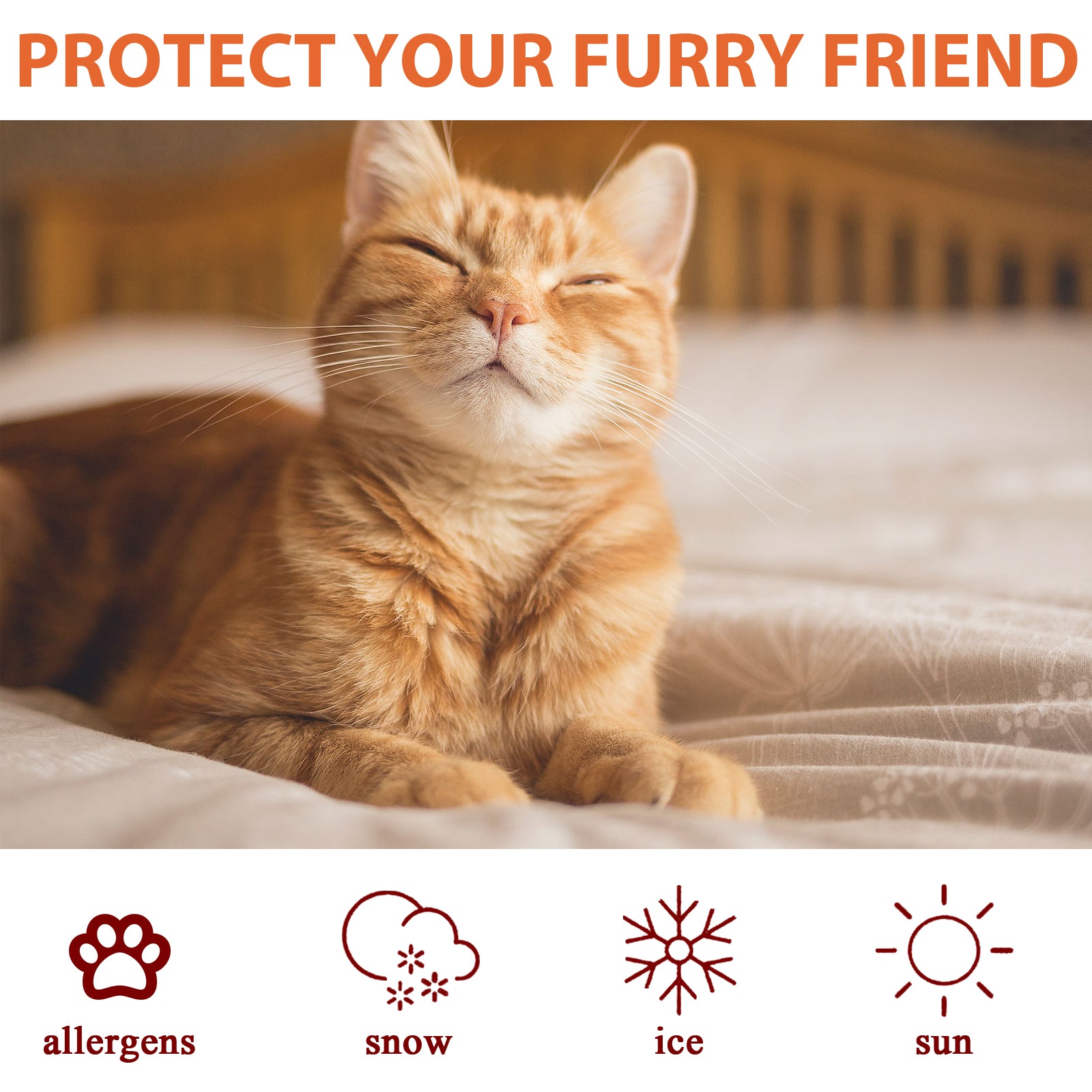 Pet Paw Care Cream, Moisturizing And Anti-Dry Crack Cat And Dog Foot Care Pad Paw Care Cream - Purrfect Pet Kingdom