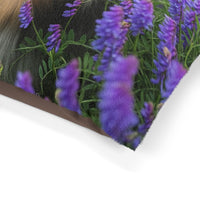 Shetland Sheepdog Pet Bed