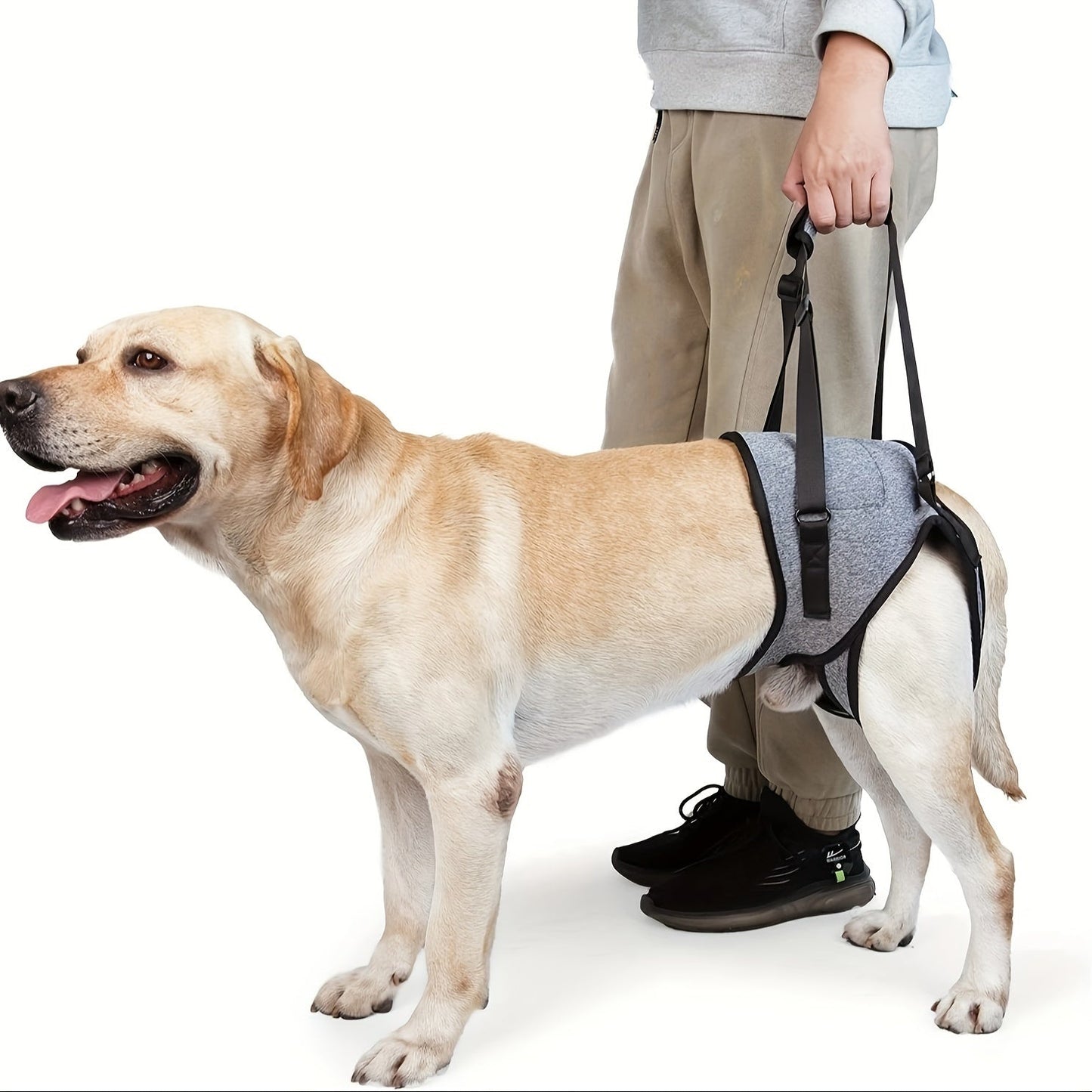 Recovery Support Harness - Help Your Dog Walk Again