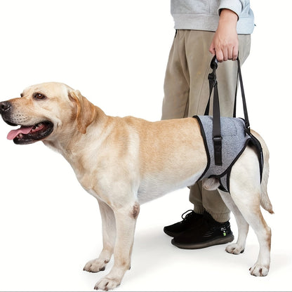 Recovery Support Harness - Help Your Dog Walk Again