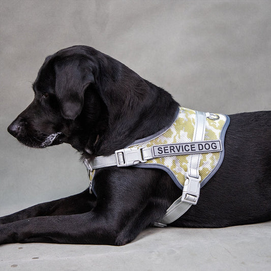 Neck Protection Anti-strangulation Colorful Reflective Pet