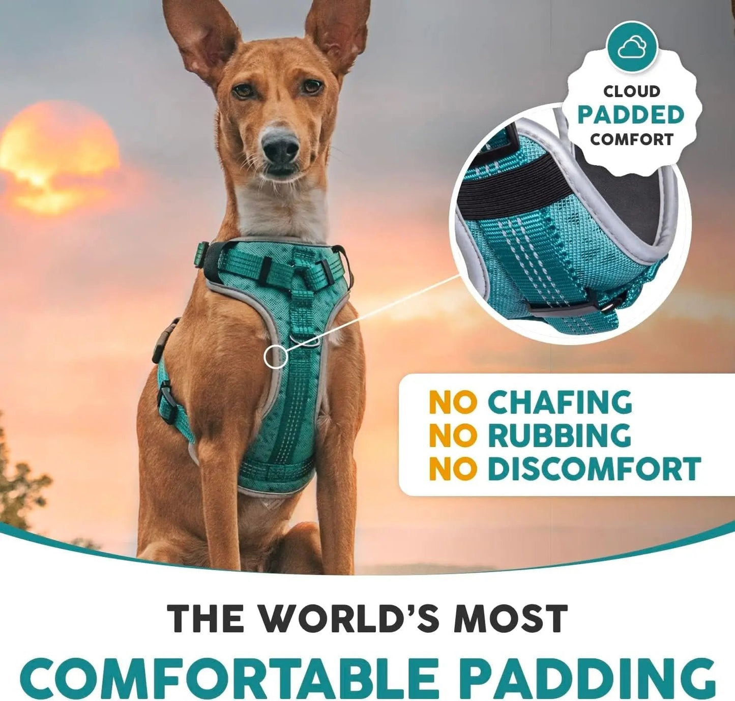 Embark Sports Dog Harness, Dog Harness for Large Dogs No Pull with Light and Breathable Design - Easy on and Off, No Pull Training, Size Adjustable, Non Choke with Handle for Control. Teal Vest