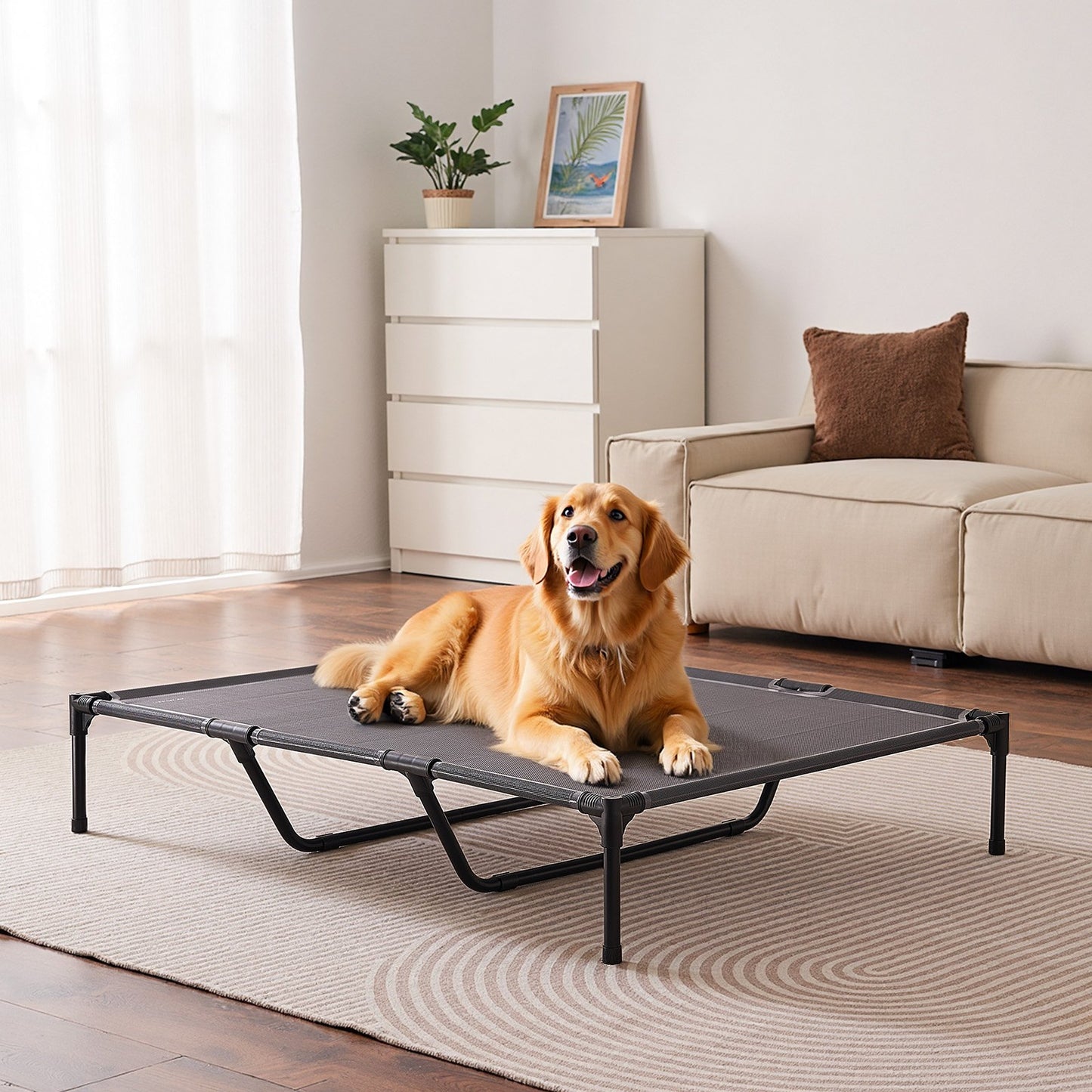 XL Raised Portable Pet Cot - Multicolor