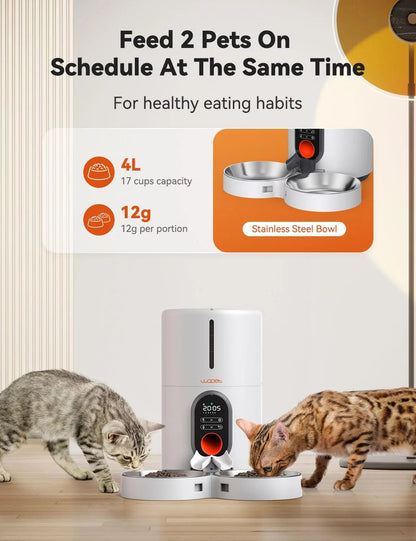 Pet feeder for two pets with capacity details and two cats using it.