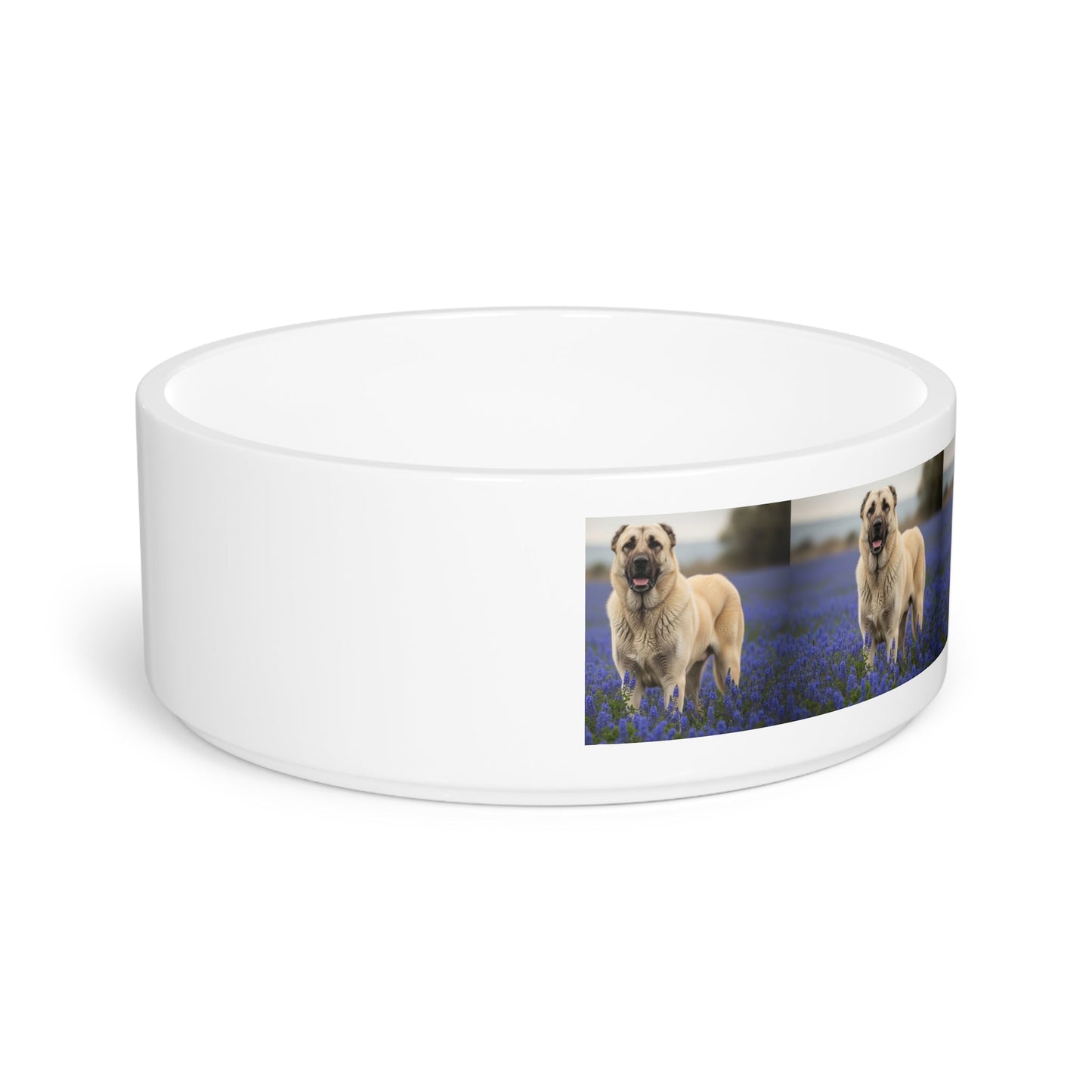 Kangal Shepherd Dog Pet Bowl
