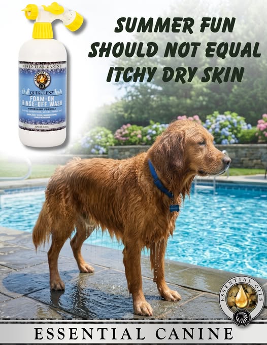 Pet Grooming Essential for Daily Care