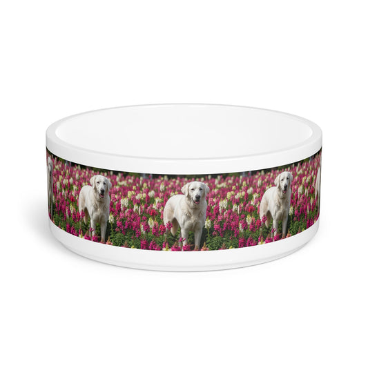 Estrela Mountain Dog Pet Bowl