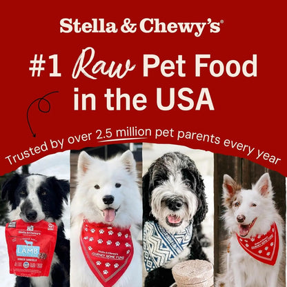 Stella & Chewy’s #1 Raw Pet Food in the USA banner with four dogs in bandanas and a red bag of treats.