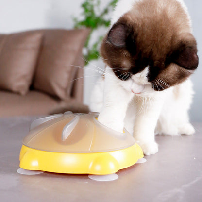 Educational Toys For Pets Entertainment Plate For Cats Snack