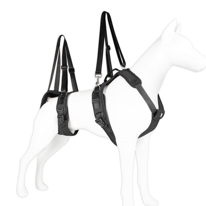 Split Assisted Chest Strap For Disabled Dogs