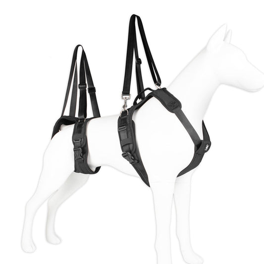 Split Assisted Chest Strap For Disabled Dogs