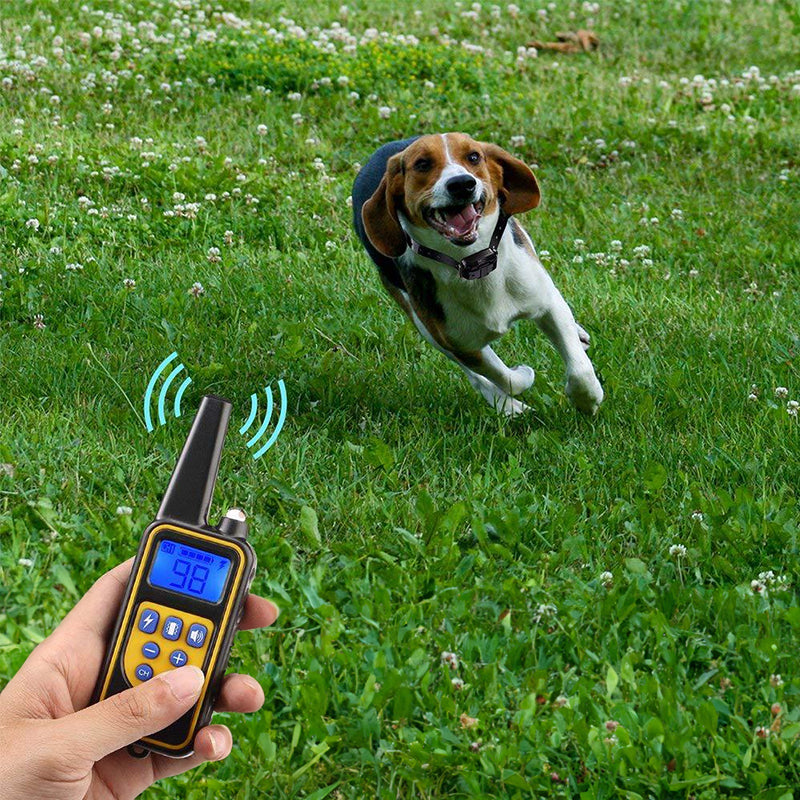 Handheld remote for vibration anti bark collar for dogs with a beagle running in the grass