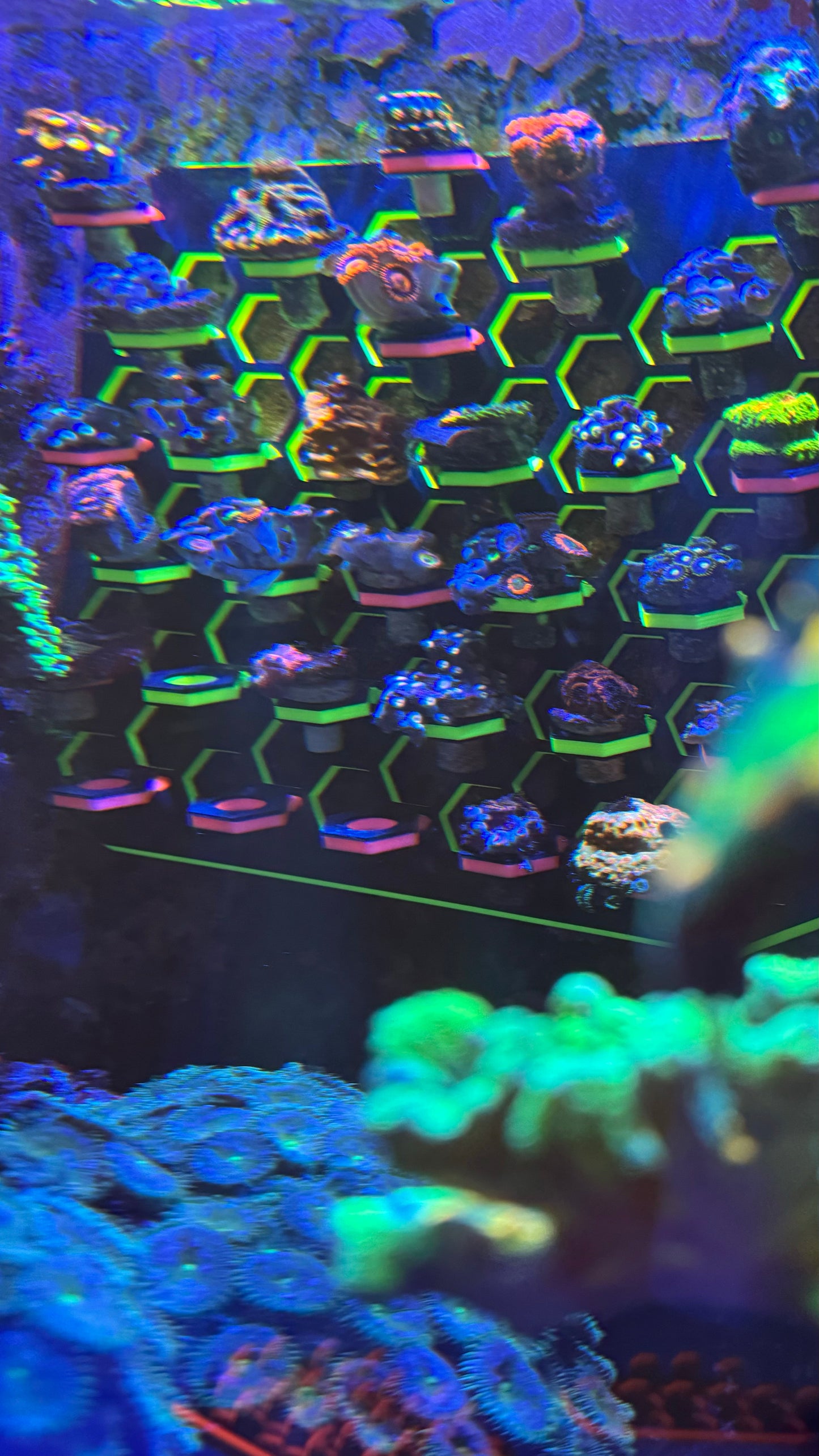 VFR XXL 9.6x 8.5 Reef Frag Rack