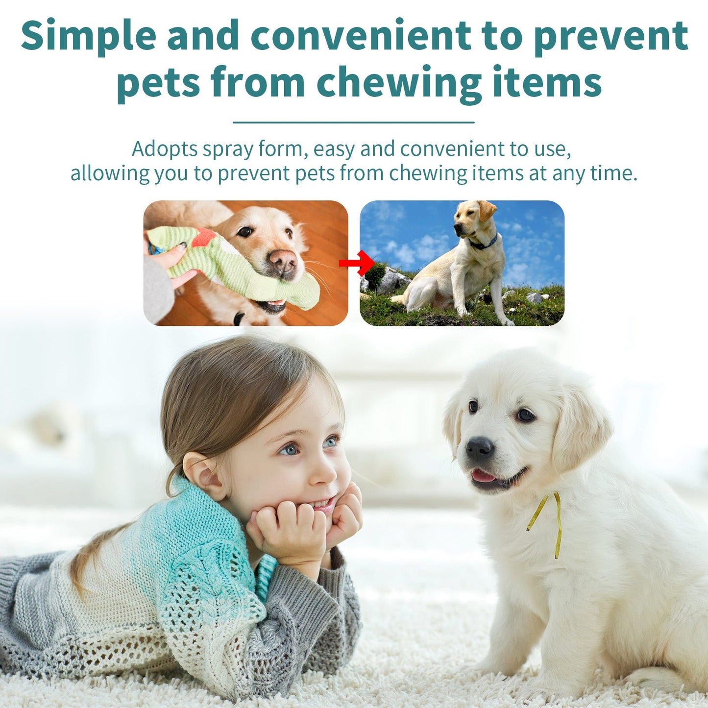 Corrective Chewing Spray For Pets, Anti-Cat/Dog Scratching Sofa Chewing Pet Behavior Modification Spray
