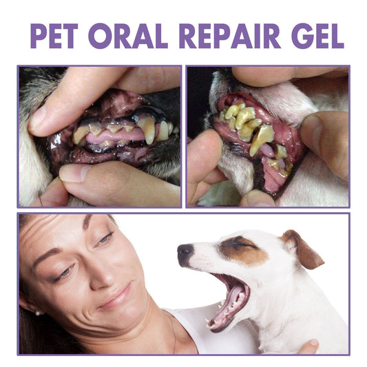Pet Oral Care Gel for Deep Cleaning of Dog and Cat Teeth Stains and Oral Hygiene - Purrfect Pet Kingdom