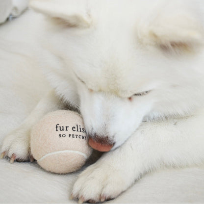 So Fetch! Tennis Ball - Latte - Tennis Ball - Elise Galleria