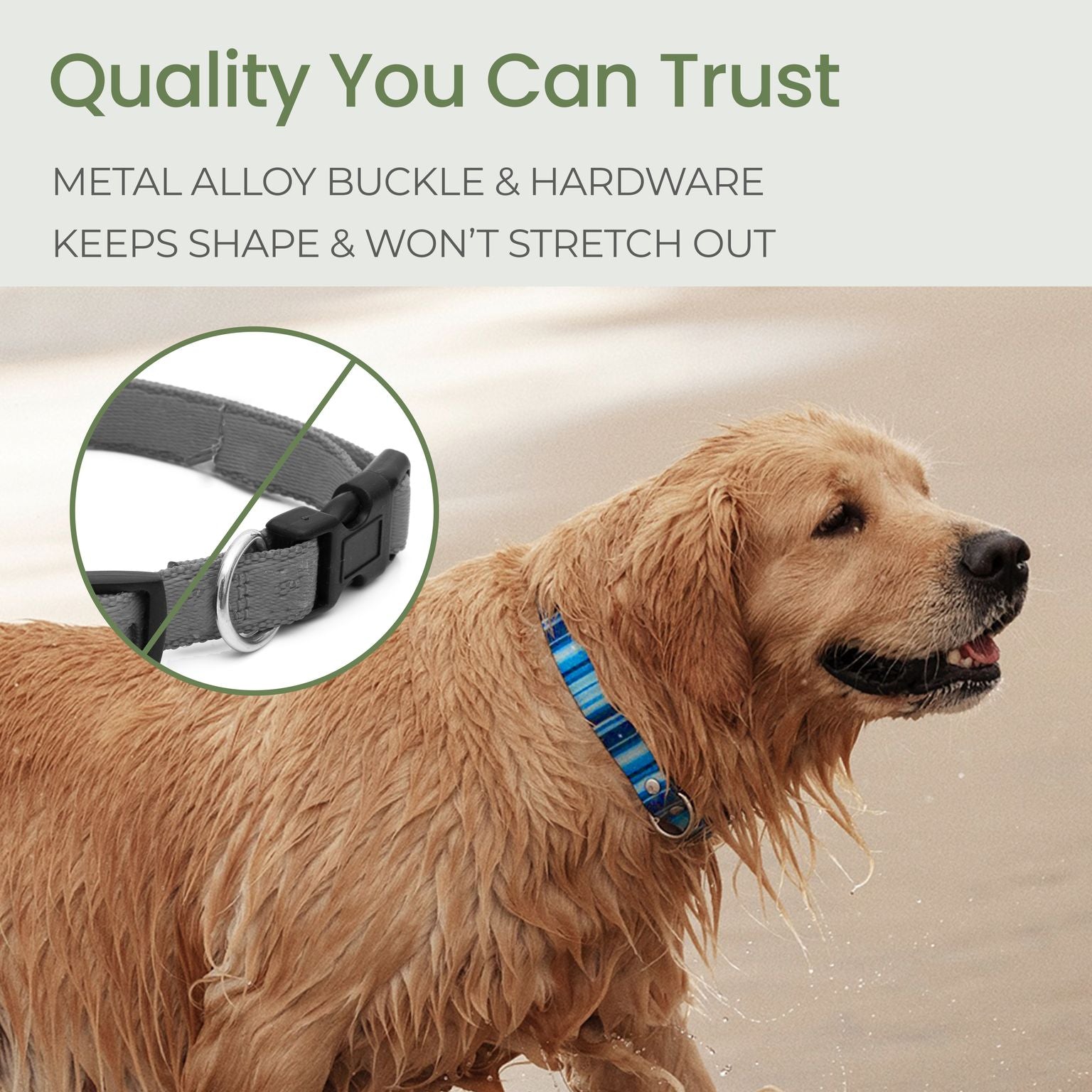 Waterproof Dog Collar Washable Stink-Proof 🐾 - Purrfect Pet Kingdom