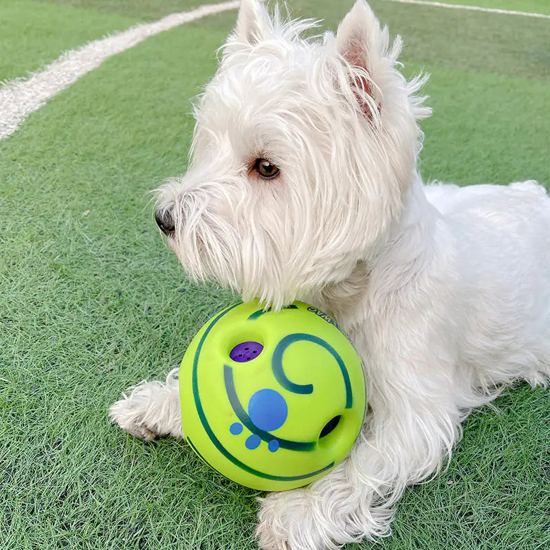 Dog Football Toys - Mimarta