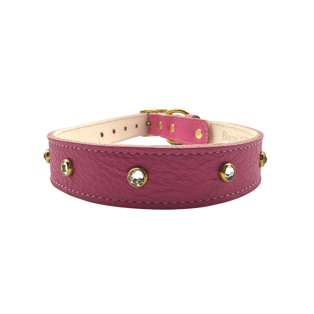 Plain Leather Dog Collar | Purrfect Pet Kingdom