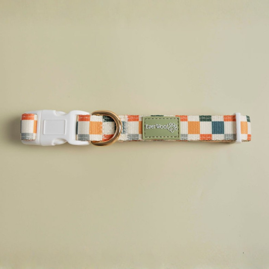 Sage & Cider Durable Padded Dog Collar for Ultimate Comfort: Purrfect Pet Kingdom checkered green and orange collar.