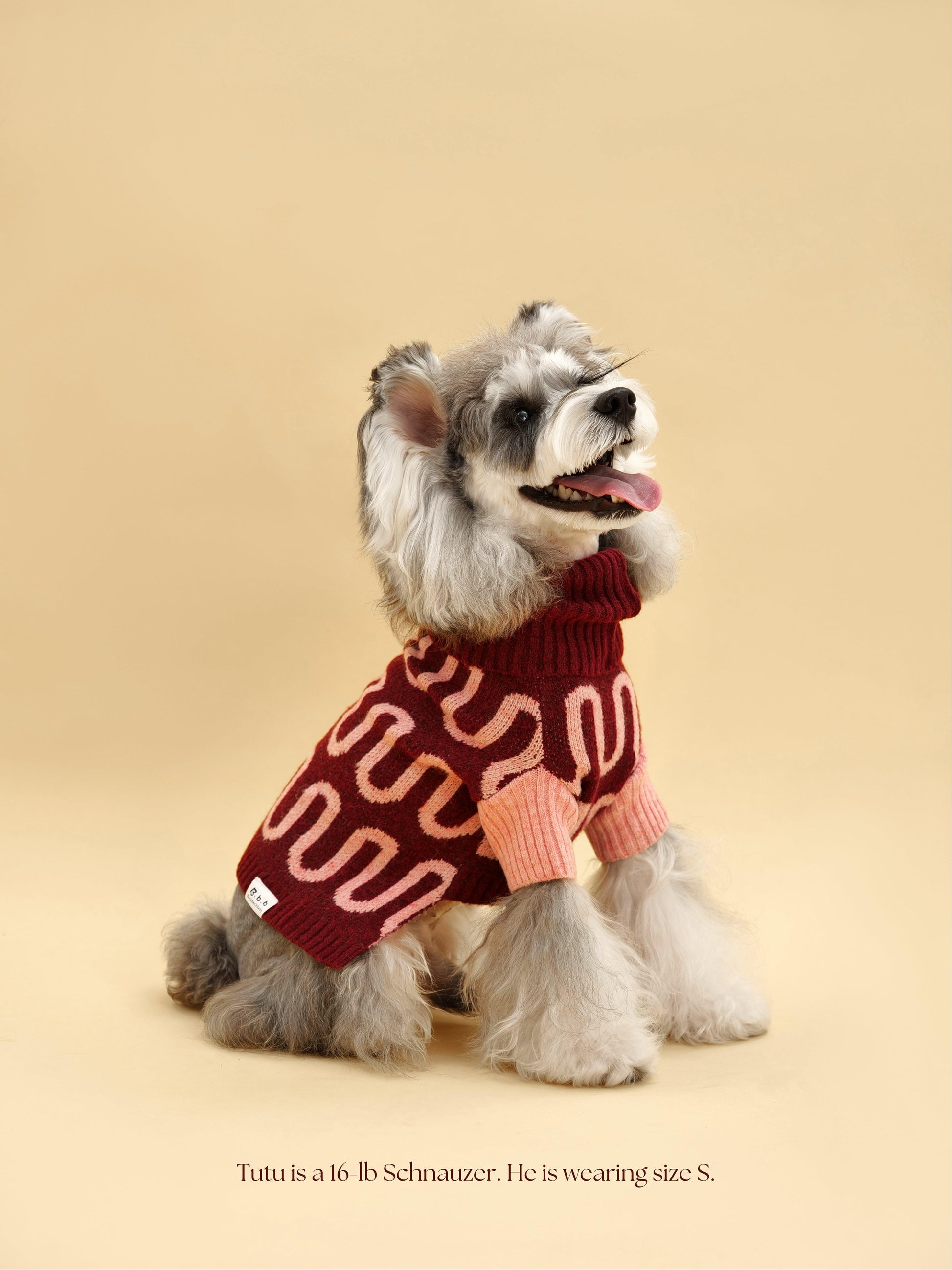 Rosé Bliss Sweater - Dog Sweater - BarkBarkBaby