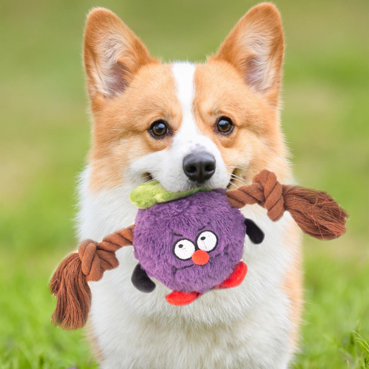 Plush Rope Knot Interactive Dog Toy for Engaging Tug of War