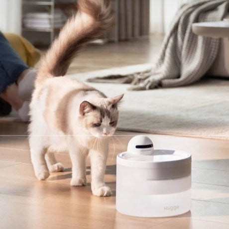 Smart Wireless Pet Water Dispenser With 24-Hour Water
