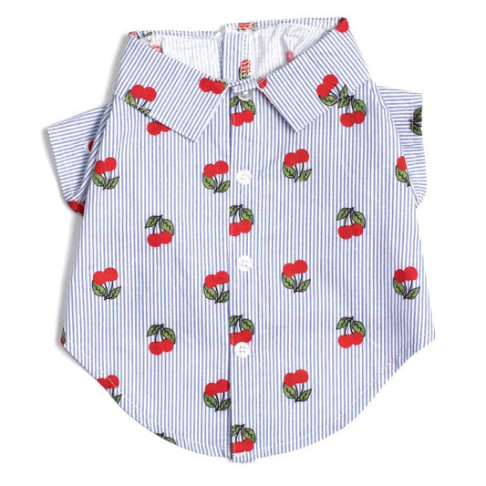 Cherries Striped Blue & White Collared Dog Shirt
