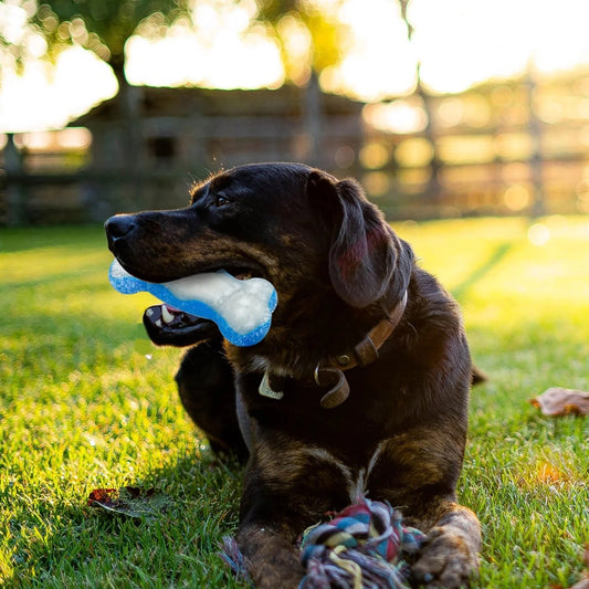 Chill Out - Bite Resistance Dog Cooling Chew Toy for Summer