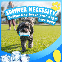 Chill Out - Bite Resistance Dog Cooling Chew Toy for Summer