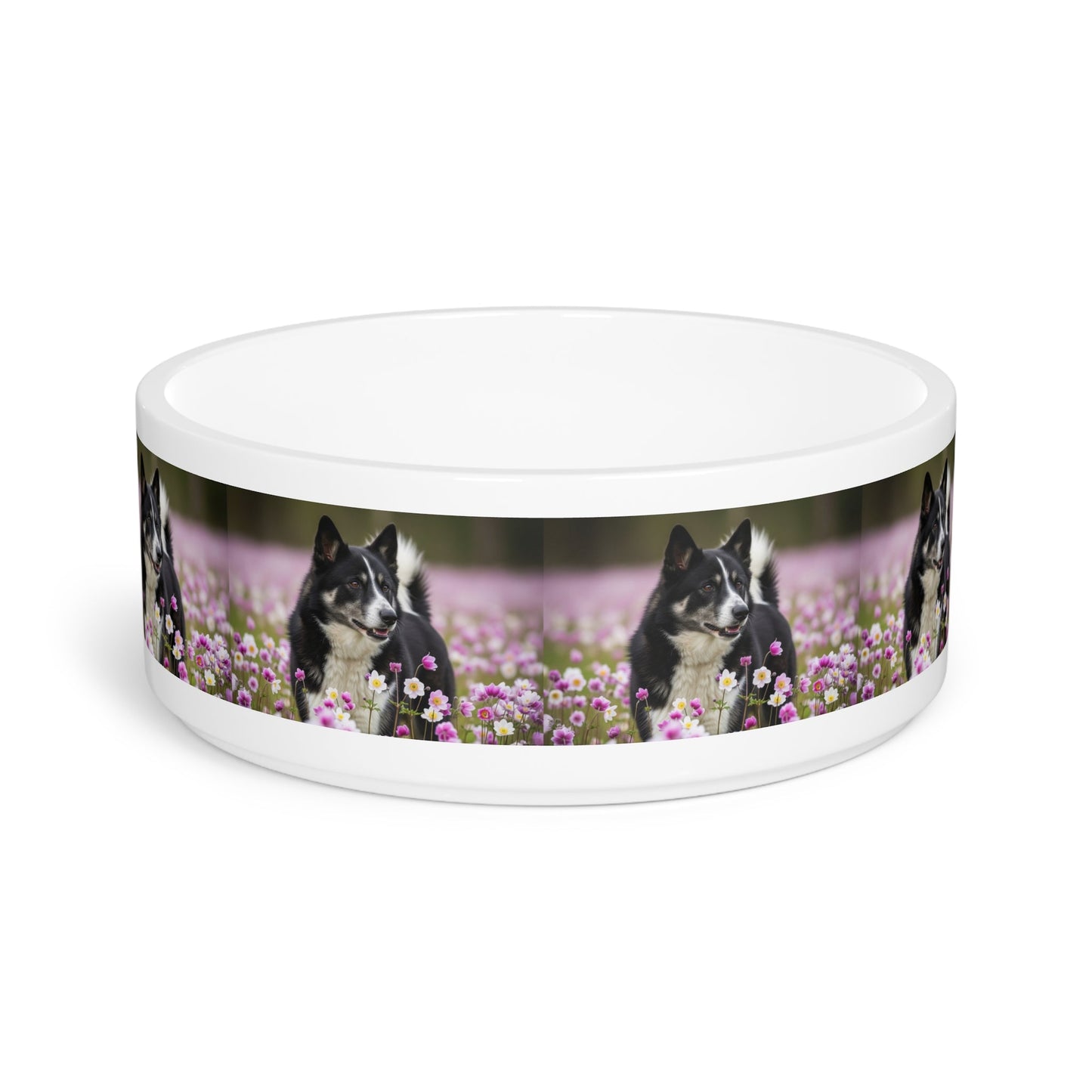 Karelian Bear Dog Pet Bowl