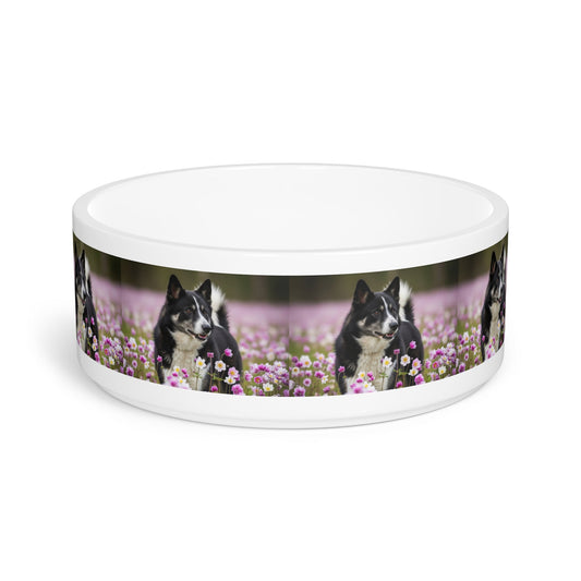 Karelian Bear Dog Pet Bowl