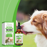 Dietary Supplements For Dogs, To Promote Pet Health Pet Dogs