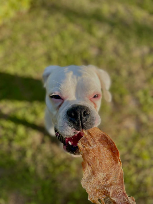 Purrfect Kingdom™ - Chicken Breast Fat Trimmed Thin Cut Dog