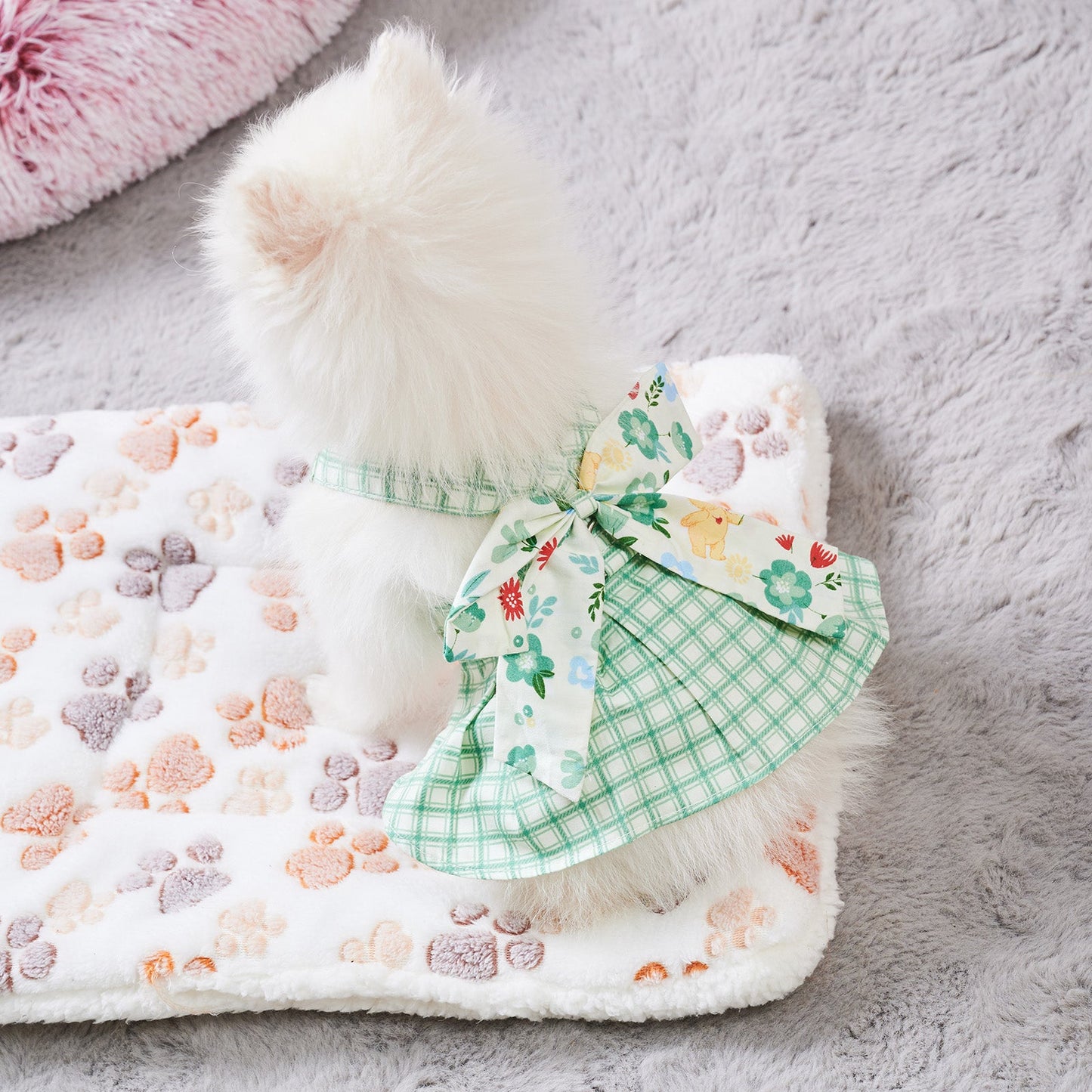 Summer Small Dog Clothes Pet Harness With Leash Puppy