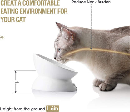 Cat Bowl Ceramic Raised Elevated Tilted Angle 🐱
