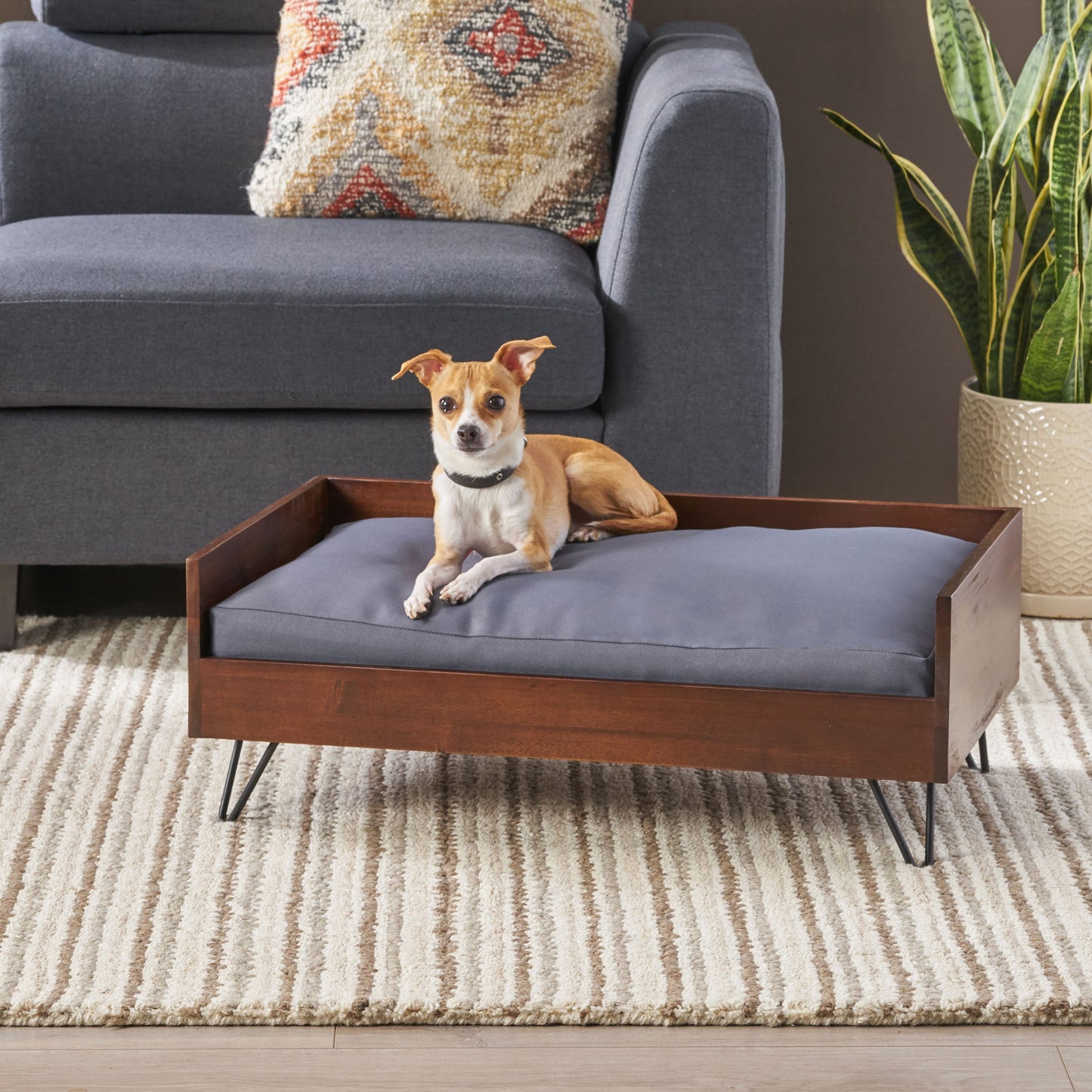Acacia Wood Dog Bed with Sleek Hairpin Legs