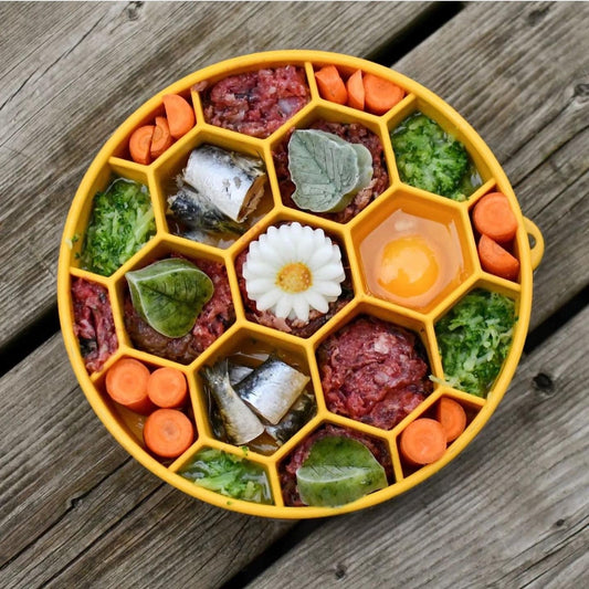 Purrfect Kingdom™ - Honeycomb Ebowl Slow Feeder Bowl