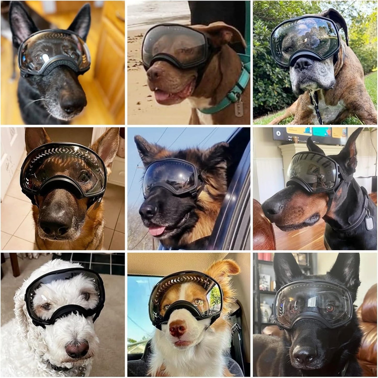 Motorcycle Dog Goggles Tactical Windproof For Large Dog