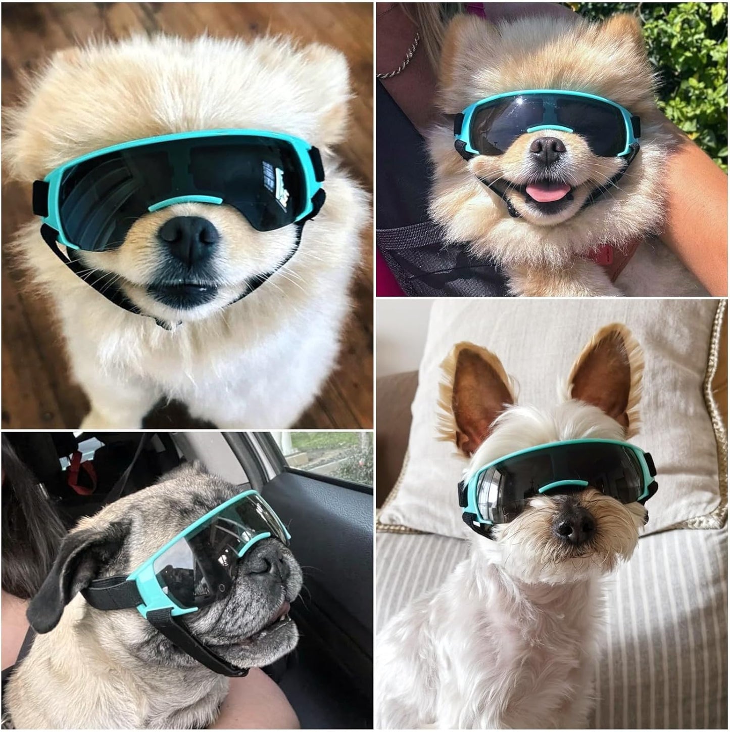 Dog goggle space style for Small Dog
